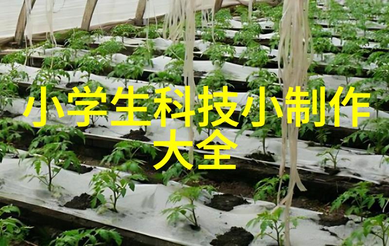 摩托车上的惊险历程高速行驶的刺激与未知挑战