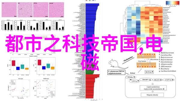 技术与应用-揭秘安卓应用商店排行榜用户喜好与开发者策略