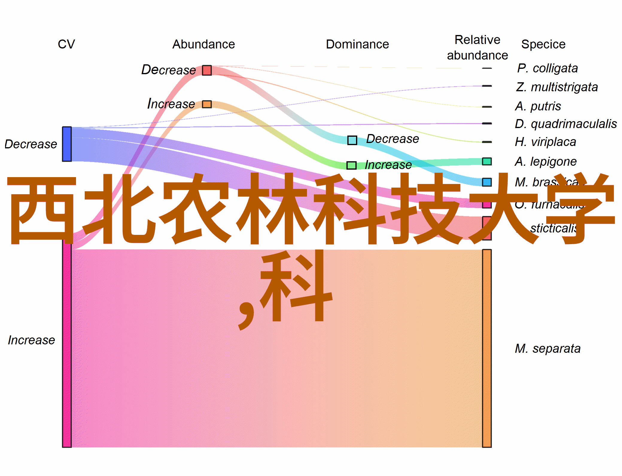 opporenoace未知领域的叛逆旋律