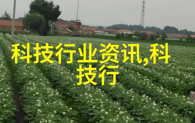 环境可持续性标准如何影响和改变当前的批发市场进货实践