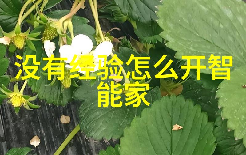 机器人智能演进高级机器人技术与应用