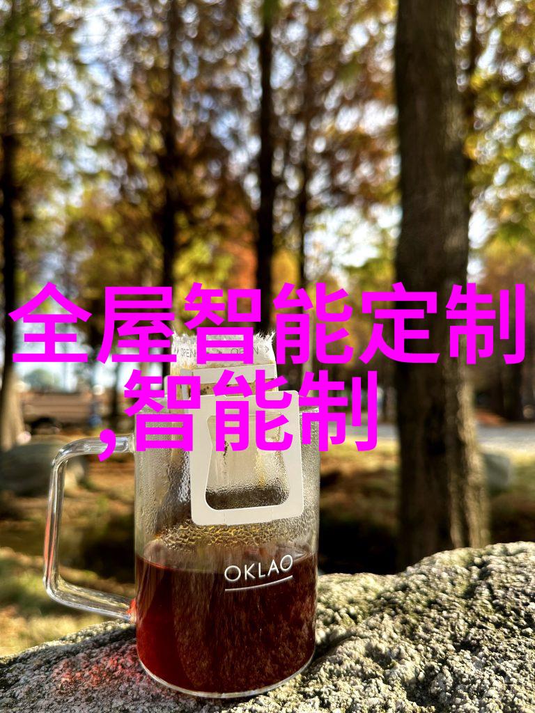 广州教育新星探索技术与师范的完美融合