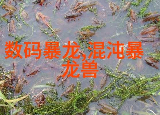 水质检测值60饮用安全性考量与解决方案