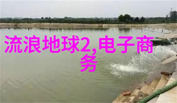 揭秘芯片的基本结构从晶体管到集成电路的构建模块