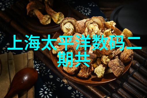 智能家居技术触控未来享受智慧生活的特点探究