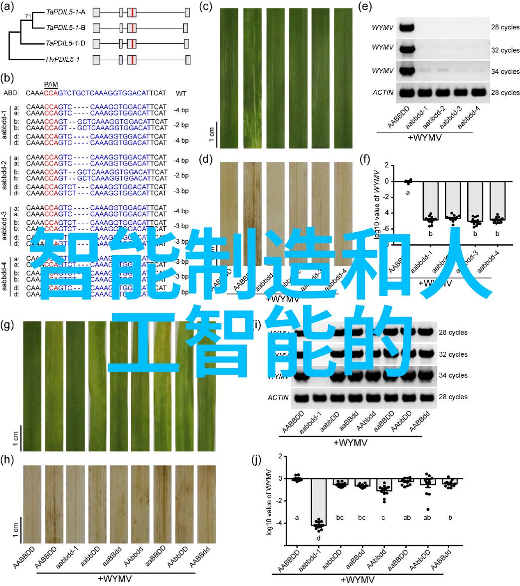 安徽财经大学教务处我是教务处的小助手今天我要跟你聊聊我们学校的课程表调整