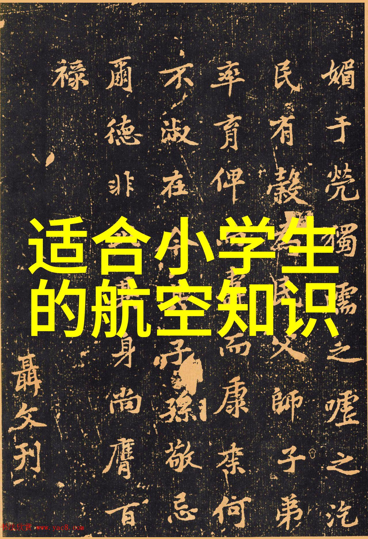 大三元镜头我是如何用大三元拍出生活的美好瞬间的