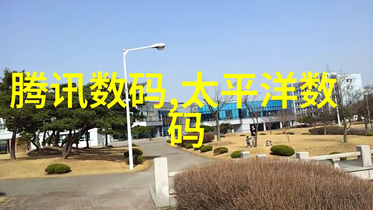 从设计到生产揭开中国高端芯片市场的伪装面纱