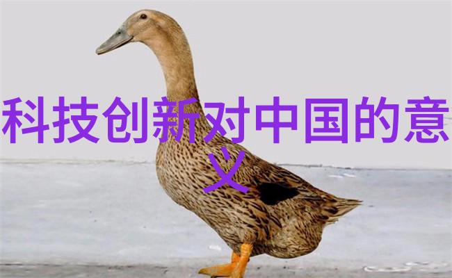 金色财经我是如何通过投资黄金赚得盆满钵满的