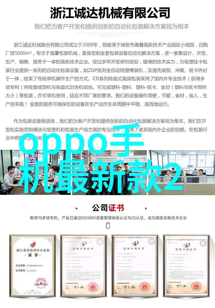 建造师之手建筑梦想的创世者与管理者