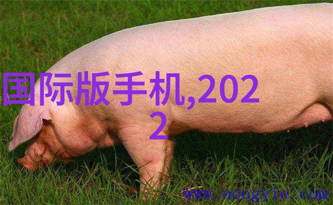 2021年客厅装修风格 - 时尚简约与温馨复古2021年客厅装修趋势解析