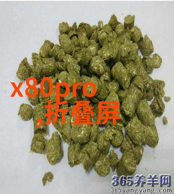 摄影配件大全镜头相机包三脚架闪光灯过滤器等