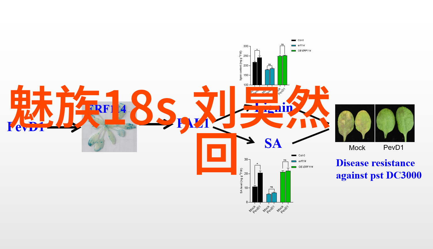 实验室水浴锅我是怎么把它从废墟中拯救出来的