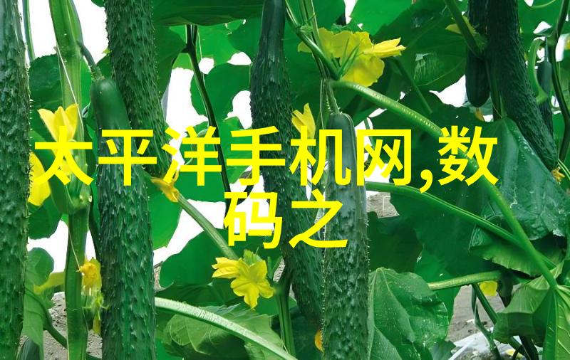 水净化之道创新的设备引领清洁时代