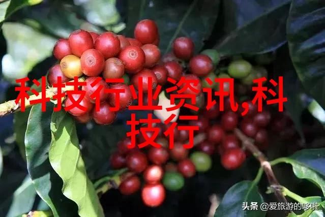 新一代苹果手机价格揭秘科技创新与商业策略的完美结合