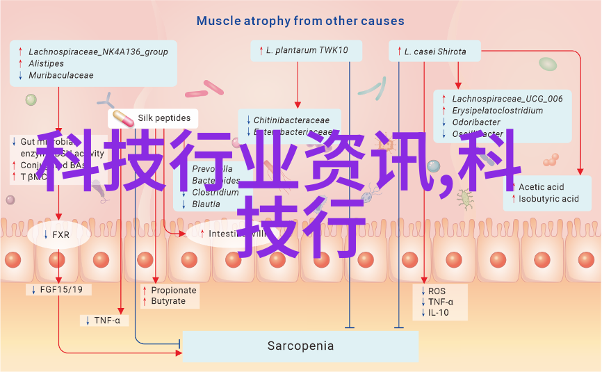 山东财经大学官网窗口看世界智慧铸未来