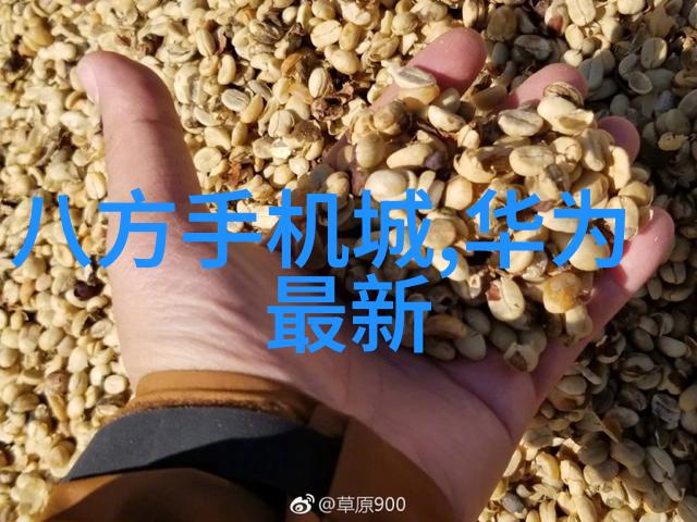 如何巧妙清洗纯银饰品世界排名第一的空气净化器助阵人物专属清洁技巧大公开