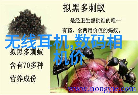 生活中的人工智能产品智能助手自动驾驶车辆与健康监测设备