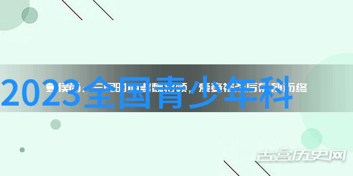 镜头背后揭秘宣传报道照片拍摄技巧的神秘面纱