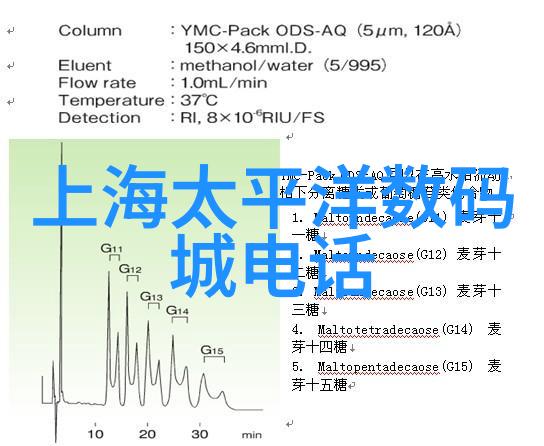 市政道路工程从坑坑洼洼到花园小道的奇妙之旅