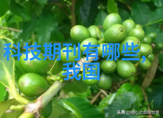 荣耀畅玩30plus探索新时代的游戏体验