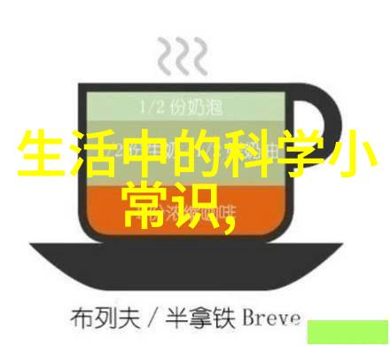 2023年室内装修效果图中哪些设计元素能最大化空间感