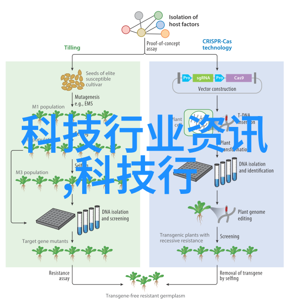 量子计算革命解密下一代技术秘密