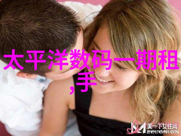 冰箱温度调节之谜揭秘老式海尔的冷静智慧