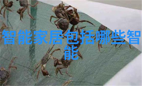 毛坯房自助美化简单装修技巧与创意应用